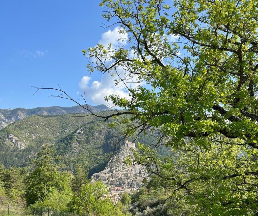 L'Orbitelle Lägenhet Entrevaux Exteriör bild
